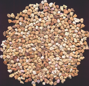 �p�|�ͻ�ע��